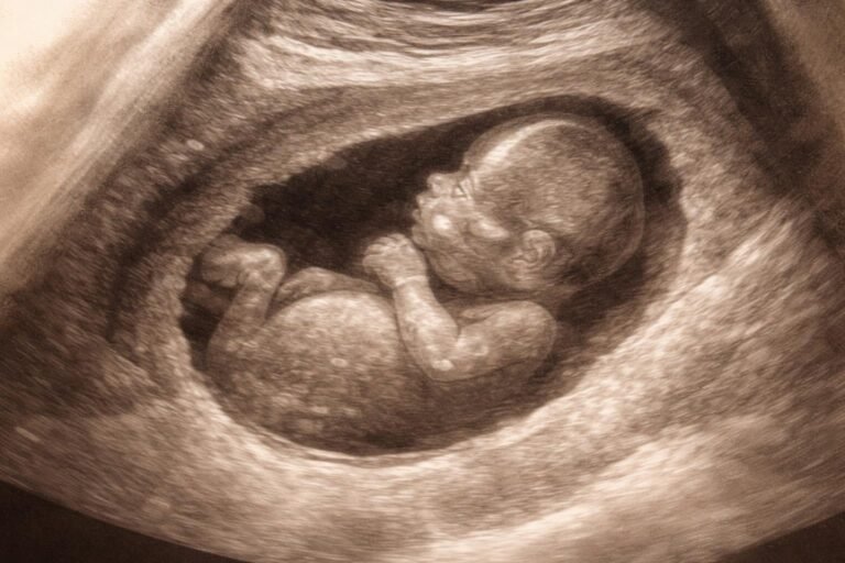 Mit jelent az abdominal circumference? Ezzel a fogalommal kismamaként találkozhatunk.